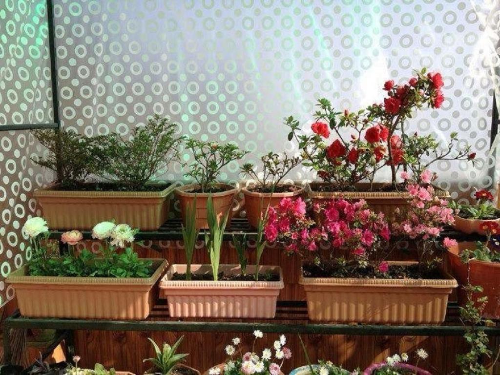 Magnolia Residency Bed & Breakfast Darjeeling  Exterior foto